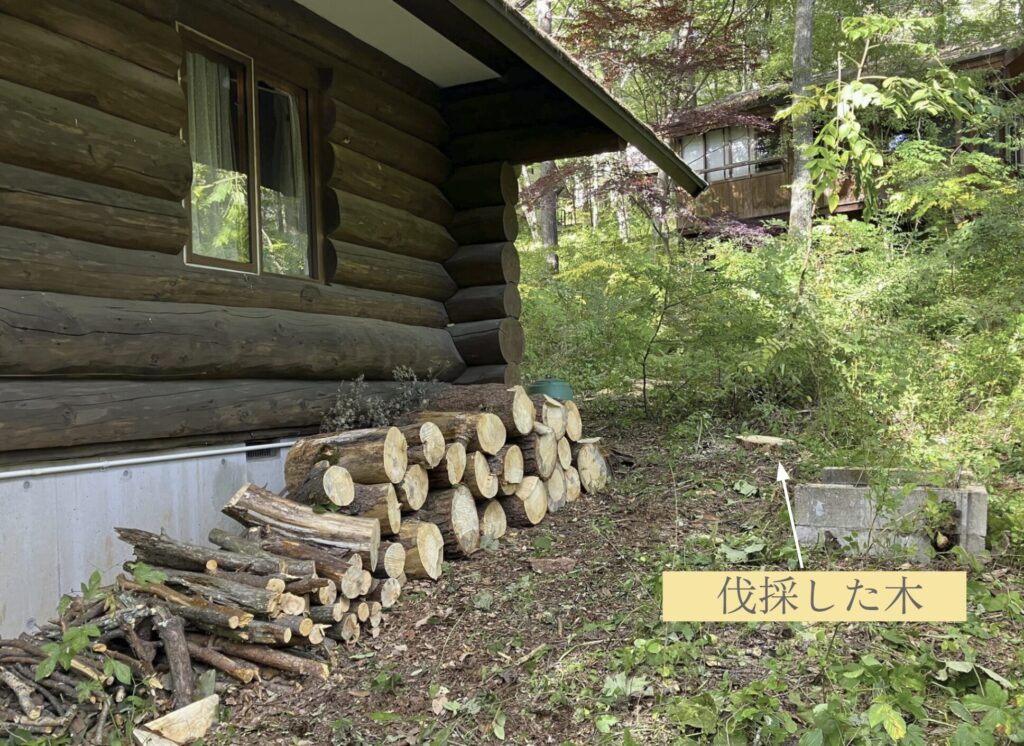 11_O様邸_山梨県北杜市大泉町_IMG_8145 - _伐採した木文字入り｜Forest庵 - Ann（フォレスト・アン）｜山梨県・長野県のアーボリスト／ツリーケア・伐採・剪定（甲府, 富士吉田, 都留, 山梨, 大月, 韮崎, 南アルプス, 北杜, 甲斐, 笛吹, 上野原, 甲州, 中央, 市川三郷町, 早川町, 身延町, 南部町, 富士川町, 昭和町, 道志村, 西桂町, 忍野村, 山中湖村, 鳴沢村, 富士河口湖町, 小菅村, 丹波山村）