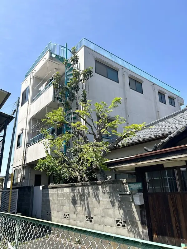枝葉を整理した後の甲府市のカエデ