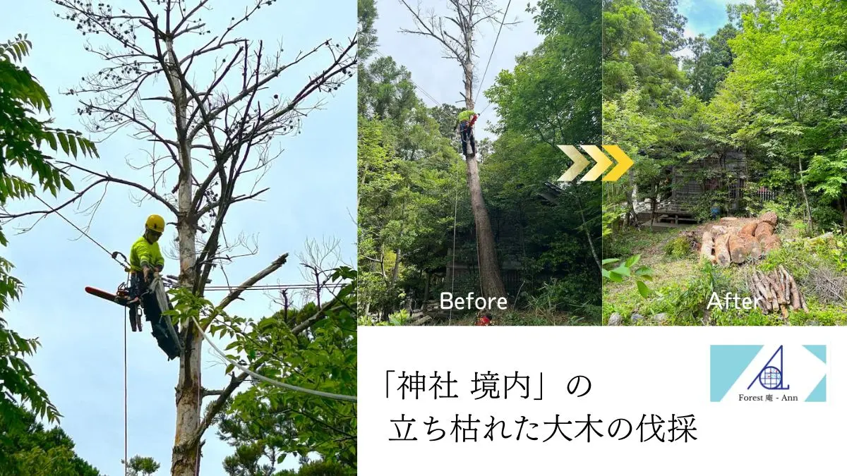 Forest庵_27_石川県七尾市_神社